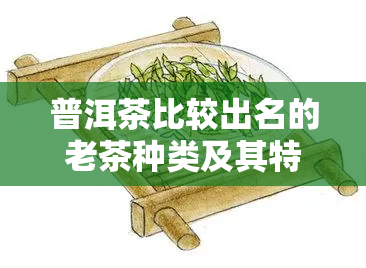 普洱茶比较出名的老茶种类及其特点