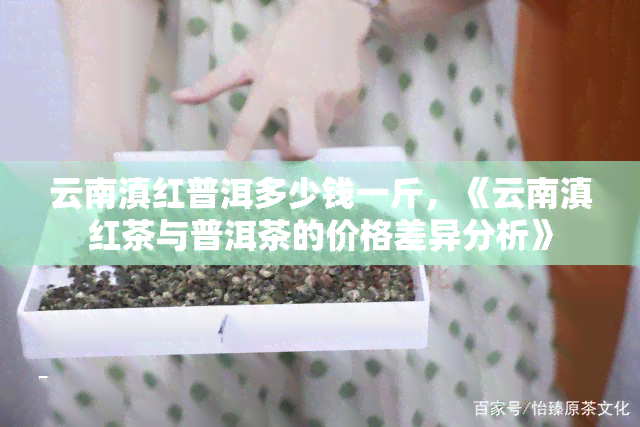 云南滇红普洱多少钱一斤，《云南滇红茶与普洱茶的价格差异分析》