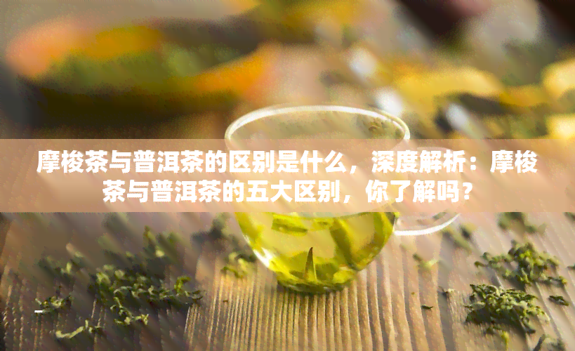 摩梭茶与普洱茶的区别是什么，深度解析：摩梭茶与普洱茶的五大区别，你了解吗？