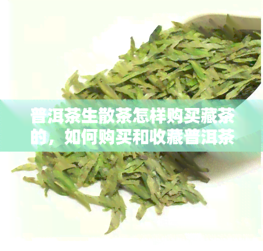 普洱茶生散茶怎样购买藏茶的，如何购买和收藏普洱茶生散茶？