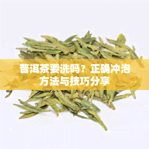 普洱茶要洗吗？正确冲泡方法与技巧分享