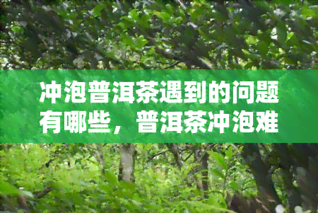 冲泡普洱茶遇到的问题有哪些，普洱茶冲泡难题：你可能会遇到哪些问题？