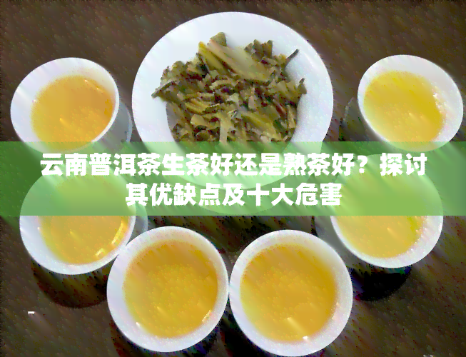 云南普洱茶生茶好还是熟茶好？探讨其优缺点及十大危害