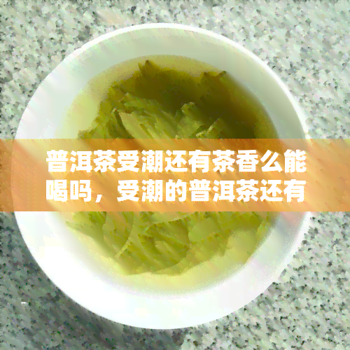 普洱茶受潮还有茶香么能喝吗，受潮的普洱茶还有茶香吗？能否饮用？