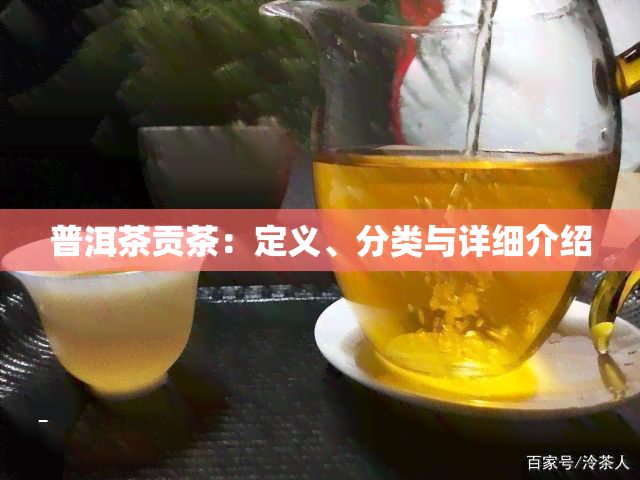 普洱茶贡茶：定义、分类与详细介绍