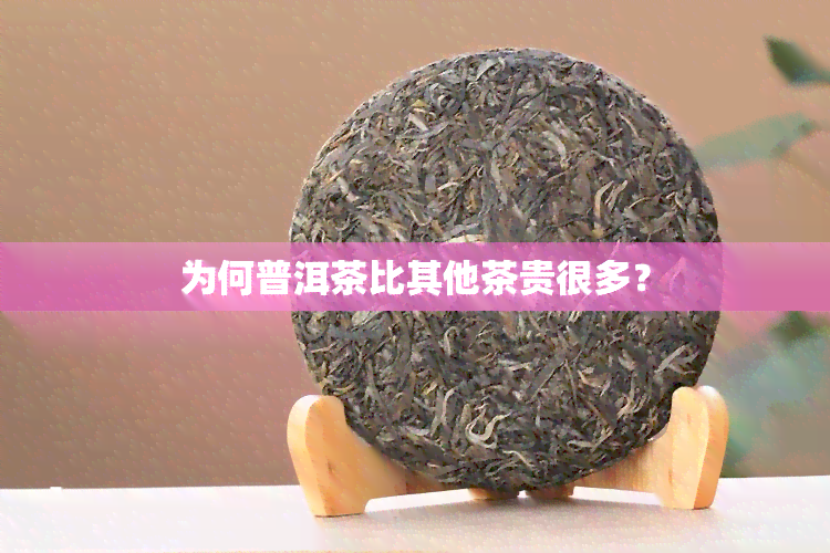 为何普洱茶比其他茶贵很多？