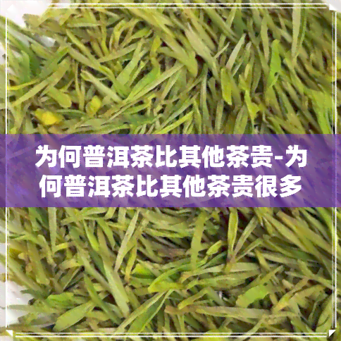 为何普洱茶比其他茶贵-为何普洱茶比其他茶贵很多