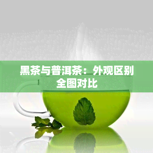 黑茶与普洱茶：外观区别全图对比