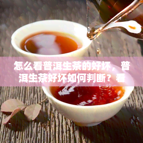 怎么看普洱生茶的好坏，普洱生茶好坏如何判断？看这一篇就够了！