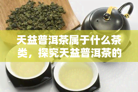 天益普洱茶属于什么茶类，探究天益普洱茶的归属：它属于哪一类茶？