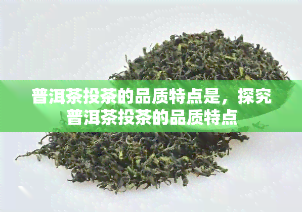 普洱茶投茶的品质特点是，探究普洱茶投茶的品质特点