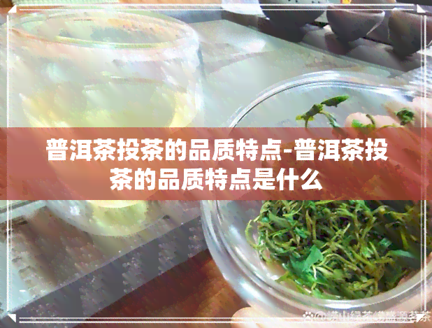 普洱茶投茶的品质特点-普洱茶投茶的品质特点是什么