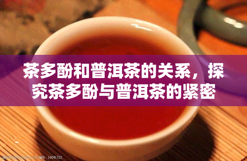 茶多酚和普洱茶的关系，探究茶多酚与普洱茶的紧密关系