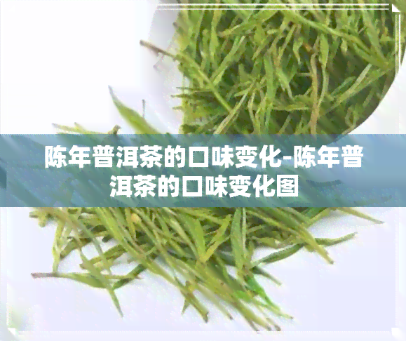 陈年普洱茶的口味变化-陈年普洱茶的口味变化图