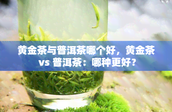 黄金茶与普洱茶哪个好，黄金茶 vs 普洱茶：哪种更好？