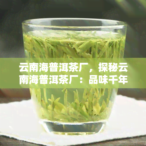 云南海普洱茶厂，探秘云南海普洱茶厂：品味千年茶文化的魅力