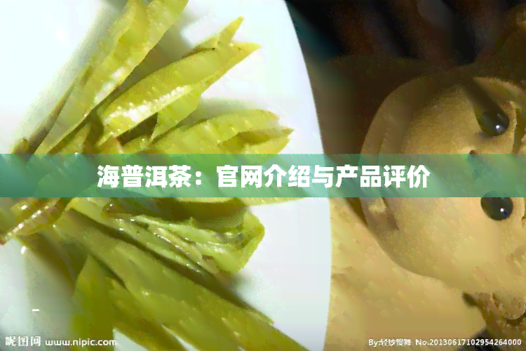 海普洱茶：官网介绍与产品评价