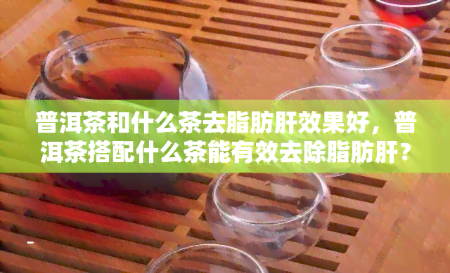 普洱茶和什么茶去脂肪肝效果好，普洱茶搭配什么茶能有效去除脂肪肝？