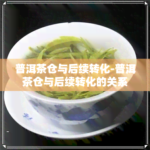 普洱茶仓与后续转化-普洱茶仓与后续转化的关系