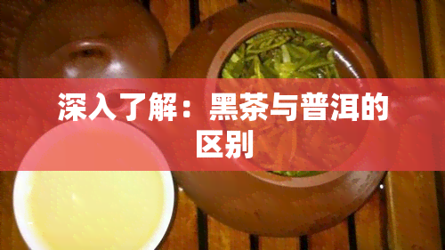 深入了解：黑茶与普洱的区别