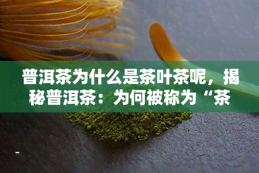 普洱茶为什么是茶叶茶呢，揭秘普洱茶：为何被称为“茶叶之王”？