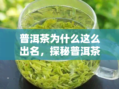 普洱茶为什么这么出名，探秘普洱茶的名声：为何它如此备受瞩目？