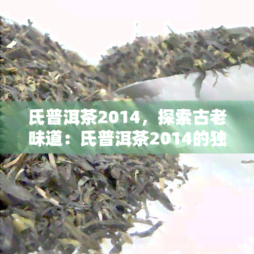 氏普洱茶2014，探索古老味道：氏普洱茶2014的独特魅力