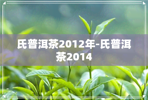 氏普洱茶2012年-氏普洱茶2014