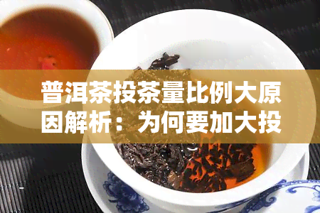 普洱茶投茶量比例大原因解析：为何要加大投茶量？