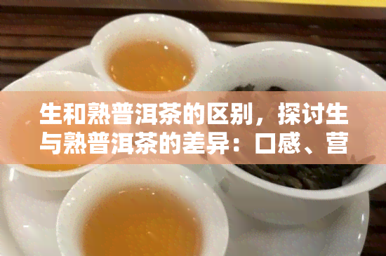 生和熟普洱茶的区别，探讨生与熟普洱茶的差异：口感、营养成分及冲泡方法全解析