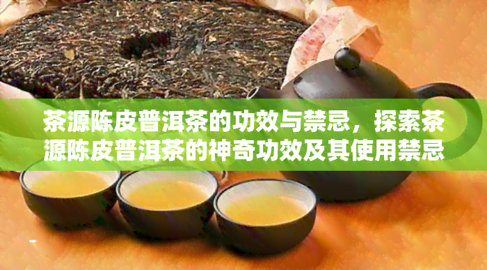 茶源陈皮普洱茶的功效与禁忌，探索茶源陈皮普洱茶的神奇功效及其使用禁忌