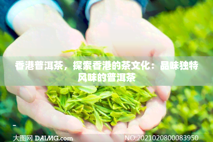 普洱茶，探索的茶文化：品味独特风味的普洱茶