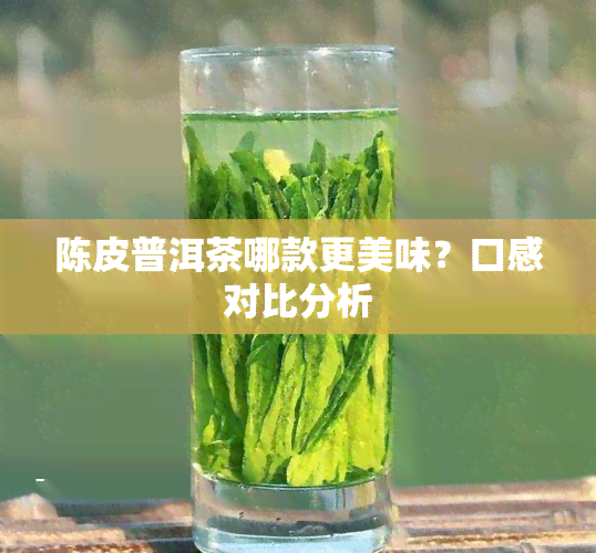 陈皮普洱茶哪款更美味？口感对比分析