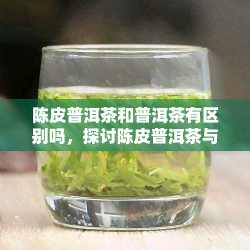 陈皮普洱茶和普洱茶有区别吗，探讨陈皮普洱茶与普通普洱茶的区别