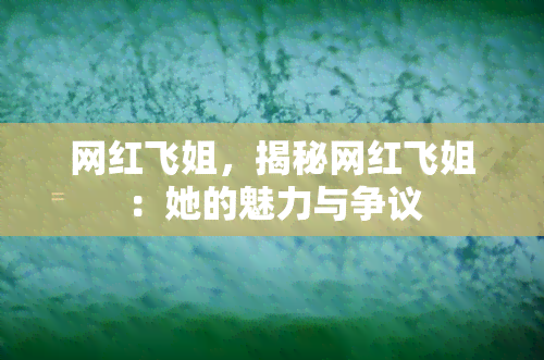 网红飞姐，揭秘网红飞姐：她的魅力与争议