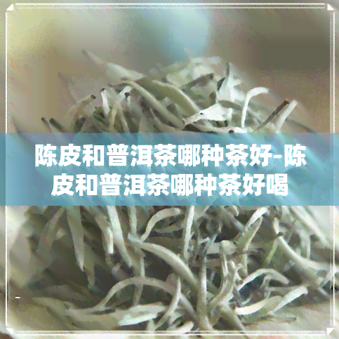 陈皮和普洱茶哪种茶好-陈皮和普洱茶哪种茶好喝