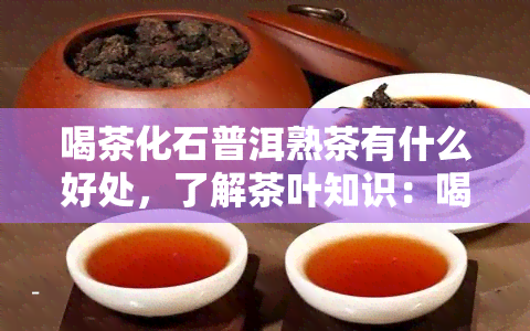 喝茶化石普洱熟茶有什么好处，了解茶叶知识：喝茶化石普洱熟茶的好处