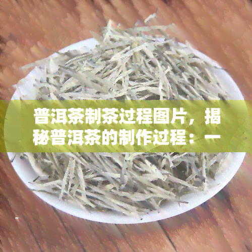 普洱茶制茶过程图片，揭秘普洱茶的制作过程：一幅图片带你了解从叶到成品的全过程