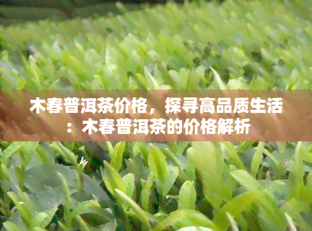 木春普洱茶价格，探寻高品质生活：木春普洱茶的价格解析