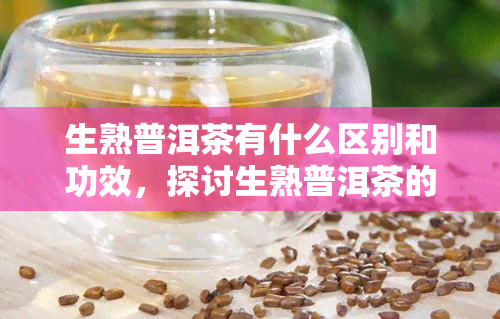 生熟普洱茶有什么区别和功效，探讨生熟普洱茶的区别与功效