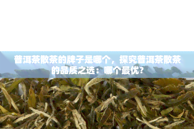 普洱茶散茶的牌子是哪个，探究普洱茶散茶的品质之选：哪个更优？