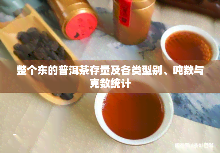 整个东的普洱茶存量及各类型别、吨数与克数统计