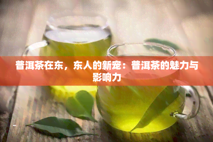 普洱茶在东，东人的新宠：普洱茶的魅力与影响力