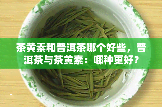 茶黄素和普洱茶哪个好些，普洱茶与茶黄素：哪种更好？