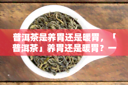 普洱茶是养胃还是暖胃，「普洱茶」养胃还是暖胃？一次看懂茶叶的养生功效