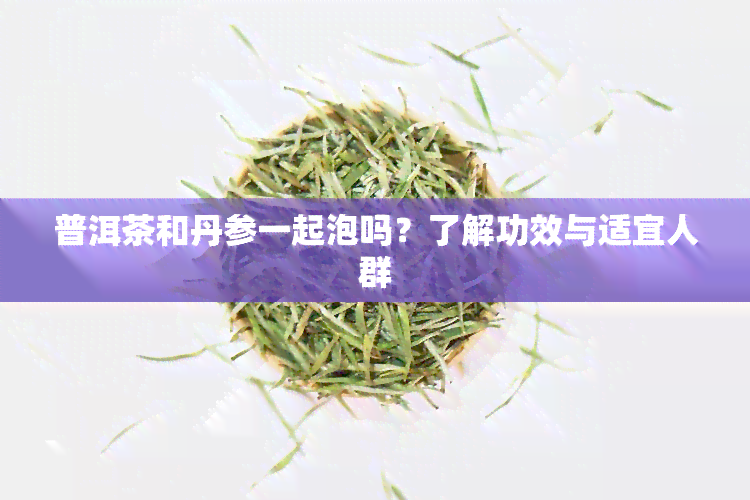 普洱茶和丹参一起泡吗？了解功效与适宜人群