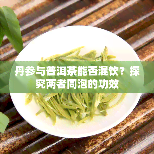 丹参与普洱茶能否混饮？探究两者同泡的功效