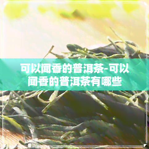 可以闻香的普洱茶-可以闻香的普洱茶有哪些