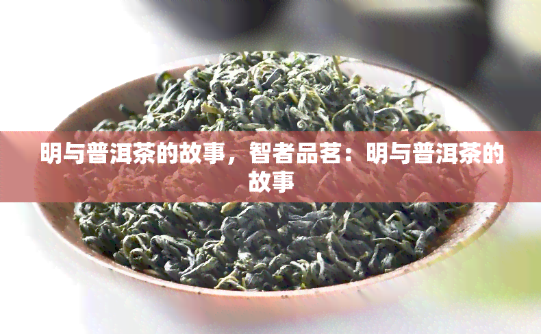 明与普洱茶的故事，智者品茗：明与普洱茶的故事