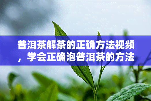 普洱茶解茶的正确方法视频，学会正确泡普洱茶的方法，让你品尝到更纯正的味道！